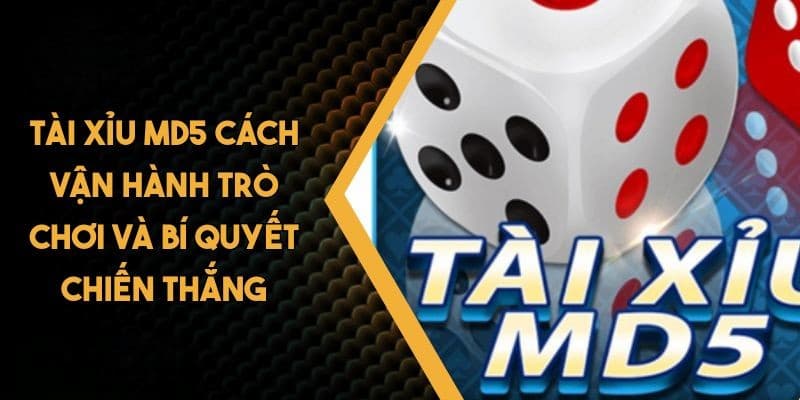 Hỗ trợ người chơi và đảm bảo an toàn khi tham gia Tài xỉu MD5