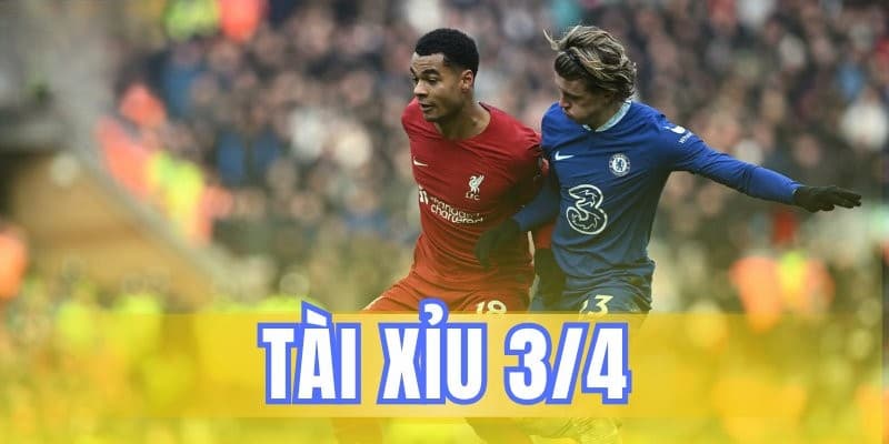 Mẹo chơi tài xỉu 3/4 giúp bạn tránh bẫy Fun88