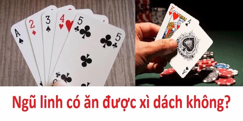 So sánh bài Ngũ Linh với các trò chơi bài khác tại Fun88