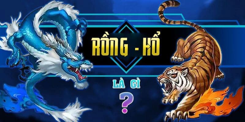 Tại sao nhiều người chọn trò Long Hổ để bắt đầu?