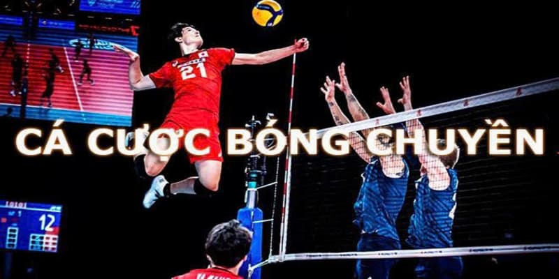 Tổng quan về thị trường cá cược bóng chuyền hiện nay