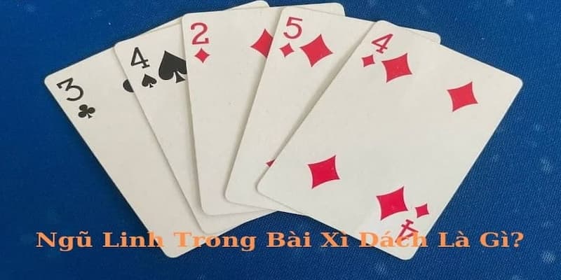 Vì sao bài Ngũ Linh được yêu thích tại Fun88